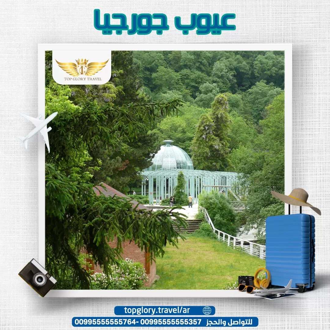 عيوب جورجيا